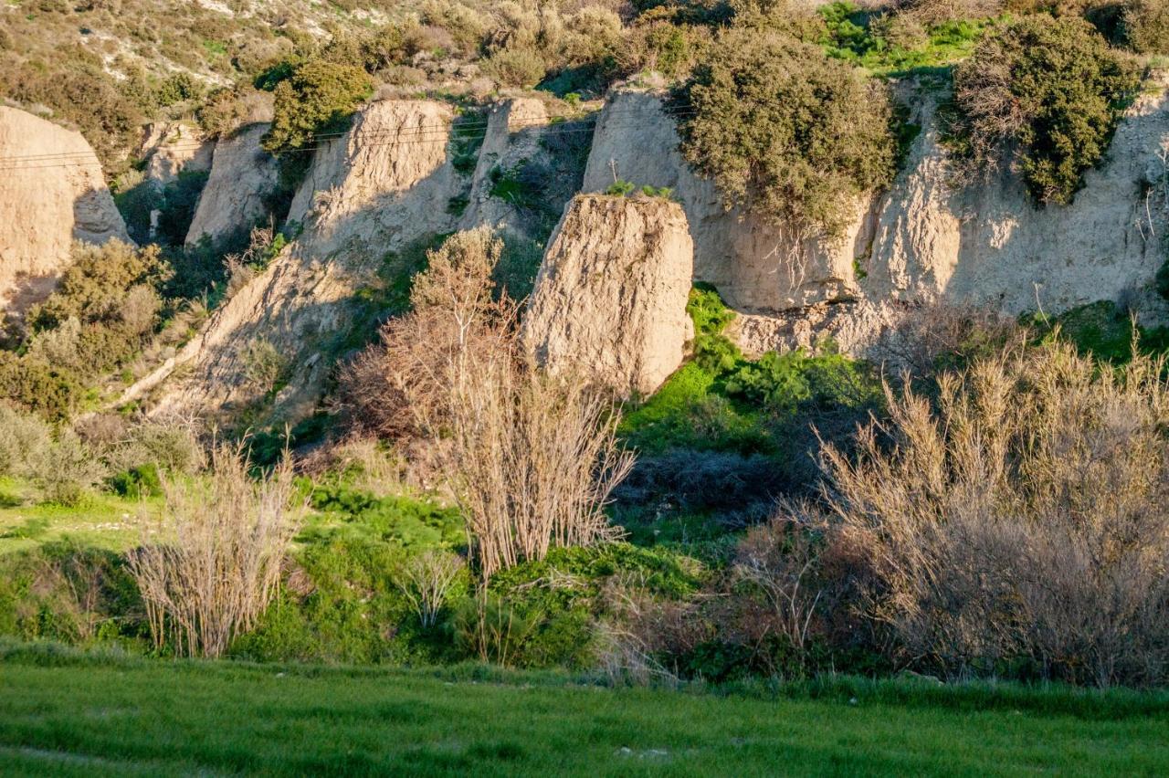 Apartamento To Konatzi Tou Flokka Agios Theodoros Exterior foto